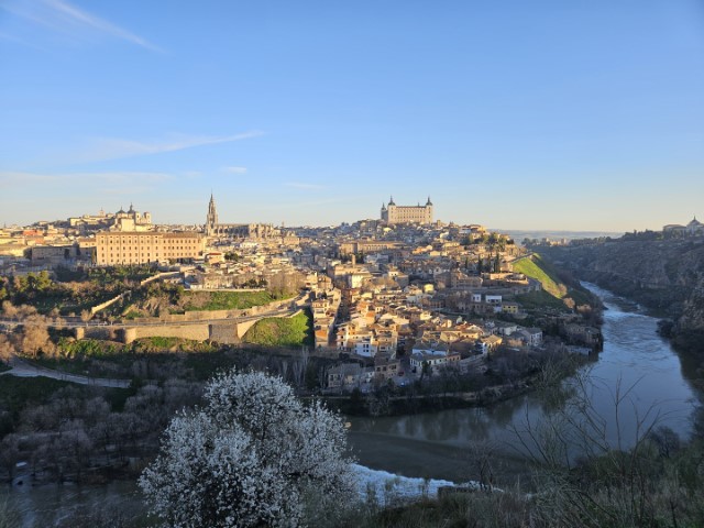 20260221_085009.jpg